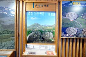 大雪山のジオラマ