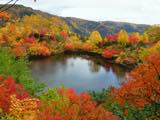 えぞ沼の紅葉