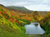 高原沼の紅葉
